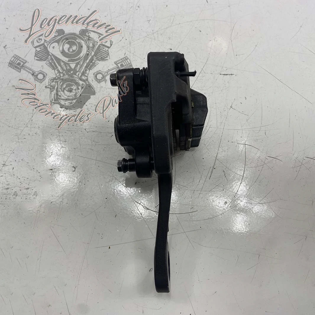 Support et étrier de frein arrière OEM 41300192