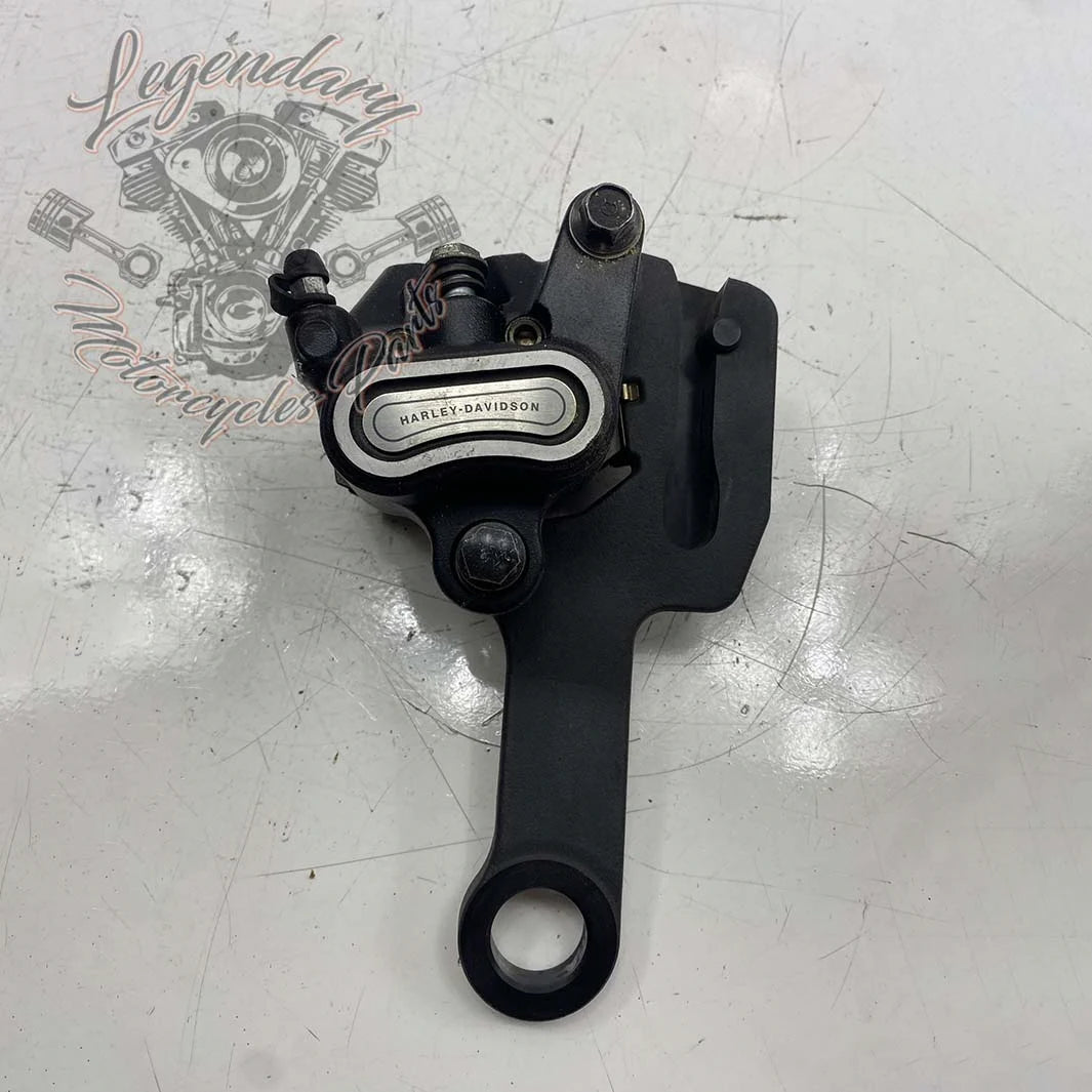 Support et étrier de frein arrière OEM 41300192