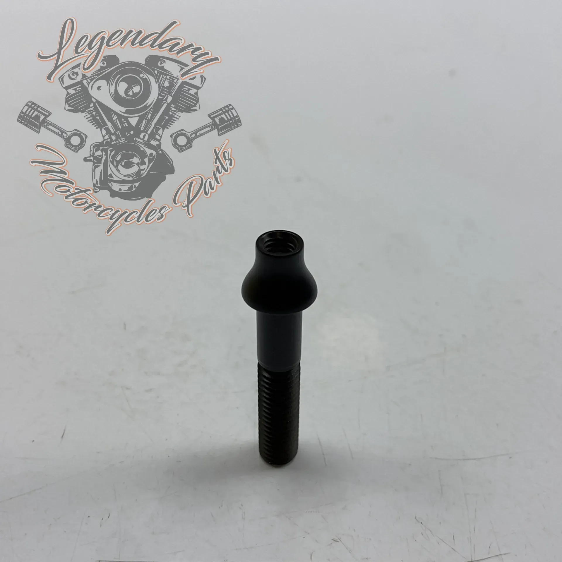 Boulon de clignotant M8x40 Ref 123.822