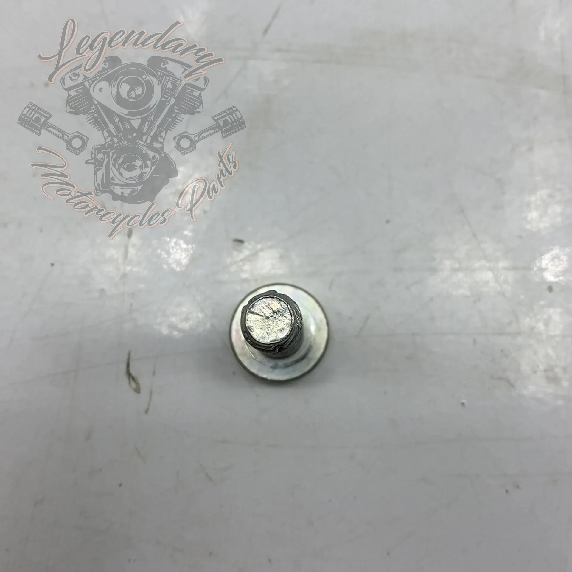 Torx Screw 5/16-18 X 1 OEM 3684 – Legendary Parts