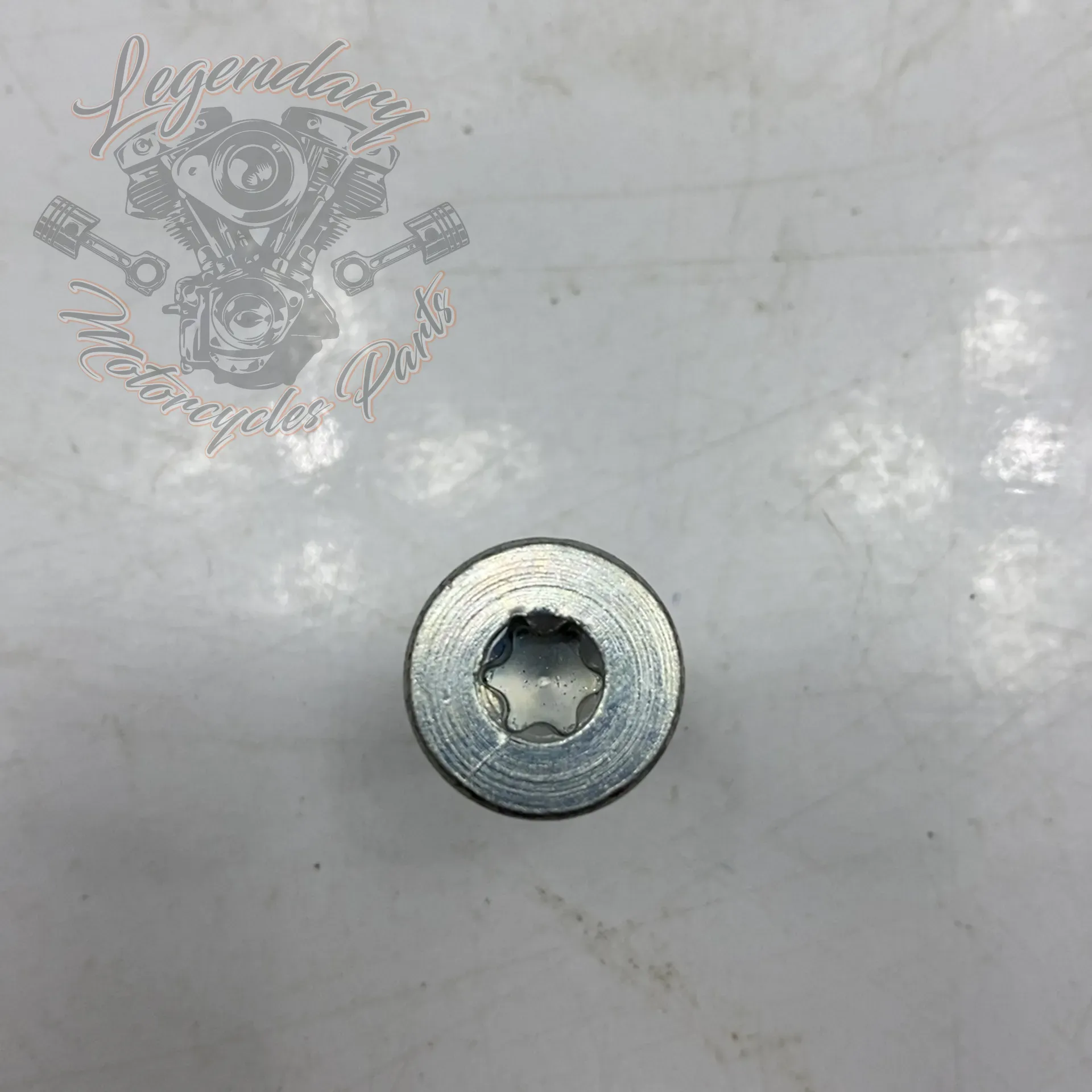 Torx Screw 5/16-18 X 1 OEM 3684 – Legendary Parts